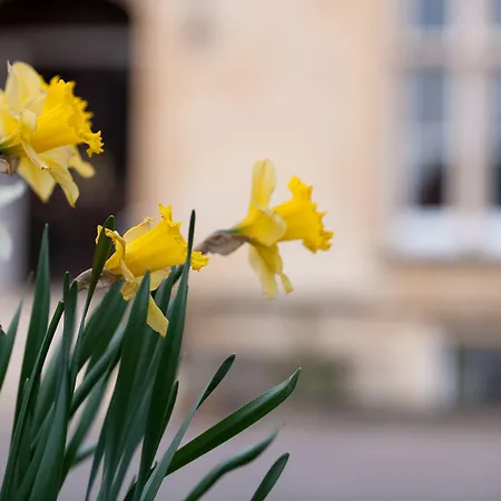 Cotswold Grange-3