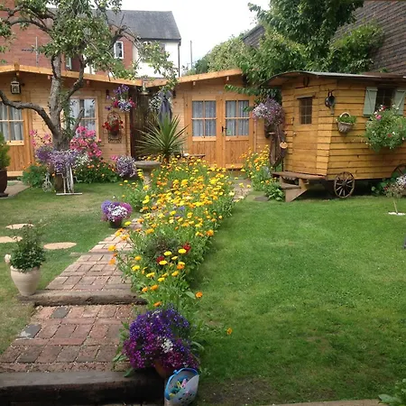 Alice Guest House-3
